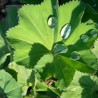 20160429_170054.jpg