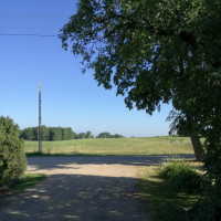 IMG_20190618_080146.jpg