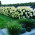 Screenshot_20180723-215314_Instagram-01.jpeg