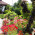 20190616_111935.jpg