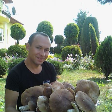 Moje BOROWIKI .