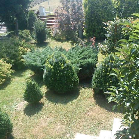 Ulubiony mój zakątek działki