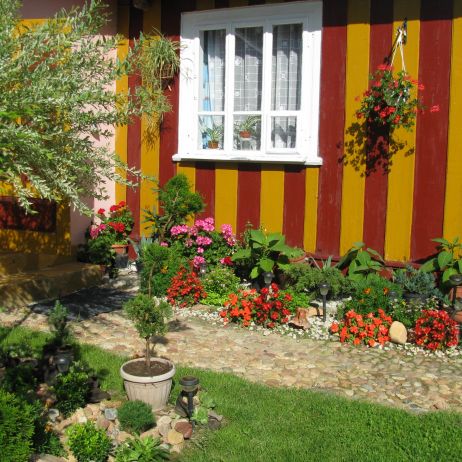 Jednoroczne kwiaty dają dużo koloru w ogrodzie.