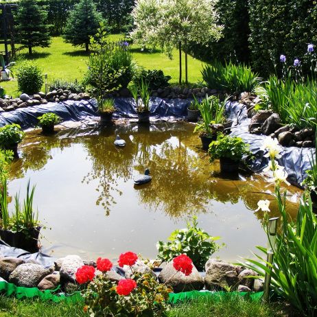 Moje Królestwo w Którym wypoczywam.