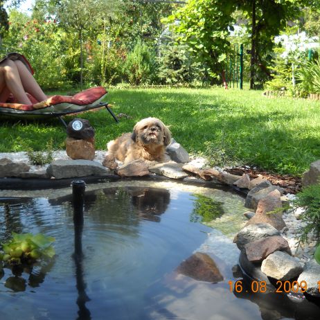 Odpoczynek przy oczku wodnym.