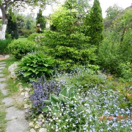 Furtkę otwieram i zapraszam do mojego zielonego królestwa