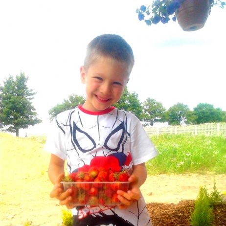 Pierwsze w tym roku truskawki z mojej działeczki :)