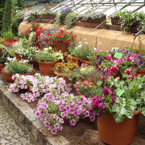 BOTANICZNY WROCŁAW