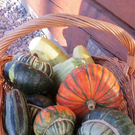 Dynie ozdobme bardzo zdobne