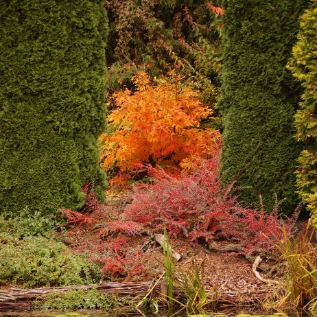 Trzy kolory - Bolestraszyce