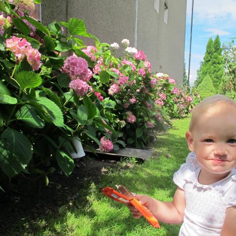 nie ma jak to odpoczynek wśród tak pięknych kwiatów