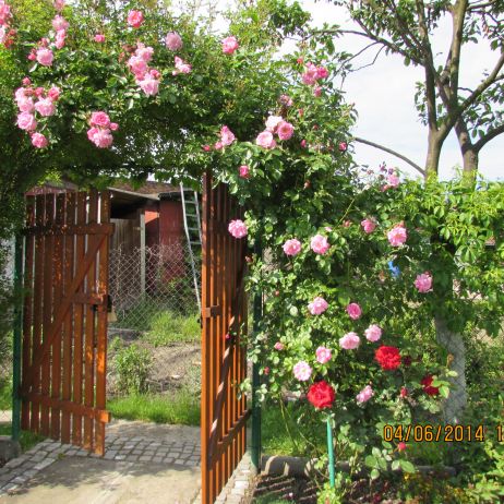 Wejscie ...na działkę 