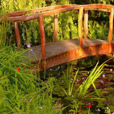 Widok na mostek i stawek od strony domu.