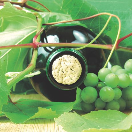 Im bardziej nasłoneczniona jest nasza winnica, tym lepszej jakości uzyskamy winogrona: większe i słodsze.