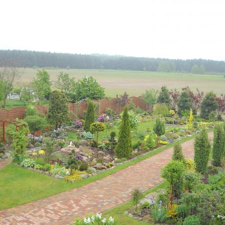 Ogólny widok lewej strony ogrodu.