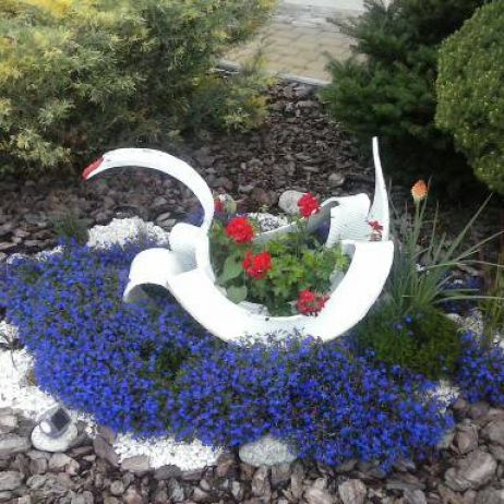 Mój własnoręcznie zrobiony łabądź