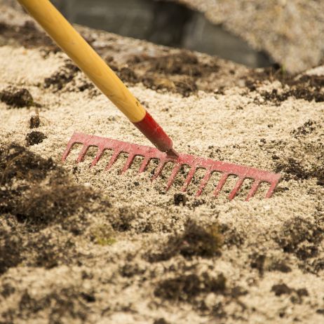 Właściwości gleby gliniastej lub ilastej polepszamy, dodając 5-10 kg piasku na metr kwadratowy uprawianej powierzchni (zdj. Fotolia.com).