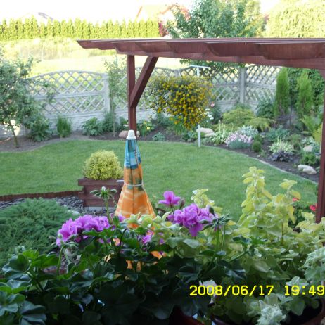 Wyglądam przez okno i taki mam widok 