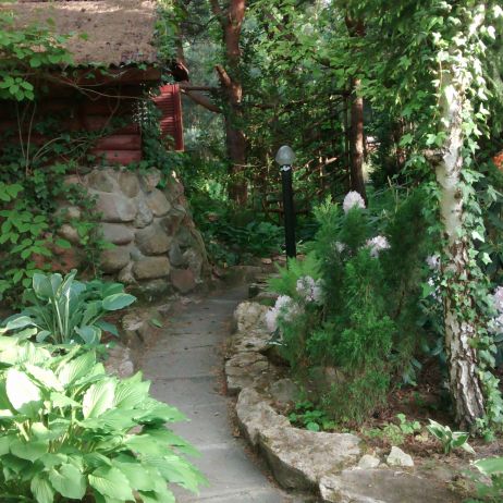 altana wśród drzew