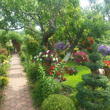 Wejście do naszego ogrodu