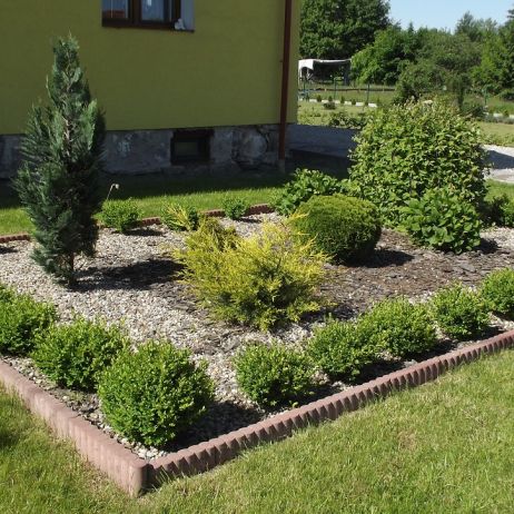 Wiecznie zielona rabata