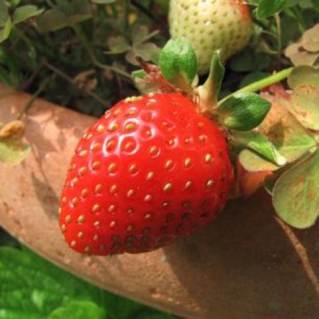 thumb_400x300_10