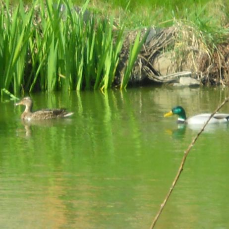 632dd8d45ecc7eb2fbd32284d490e5d2aa57f5ab