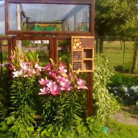 Kwiaty, warzywa i hotel dla owadów ;)