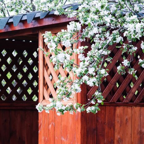 (zdj.: Fotolia.com)