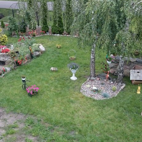 Widok części ogrodu z góry