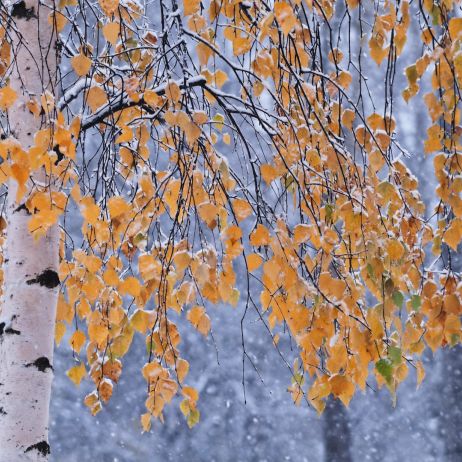 (zdj.: Fotolia.com)