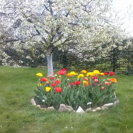 Pani Wiosna już zawitała