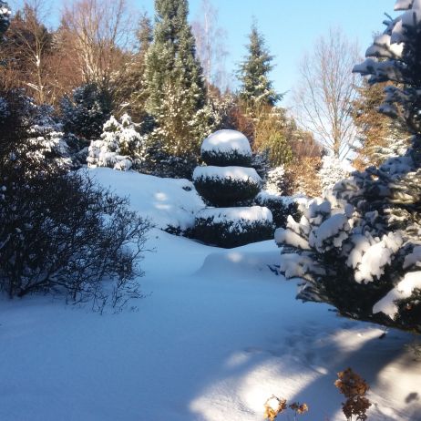 zima  w ogrodzie2016-17