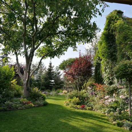 Mój mały raj - widok z okna kuchni