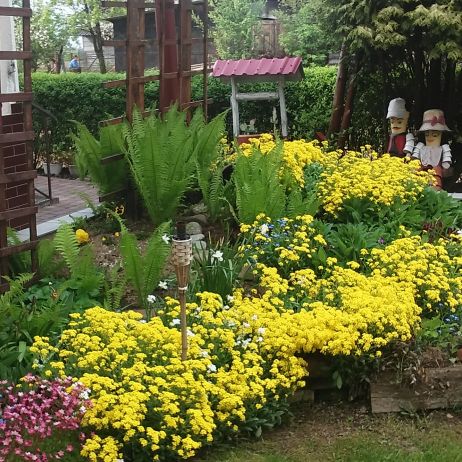 WIOSENNE BARWY NA SKALNIAKU