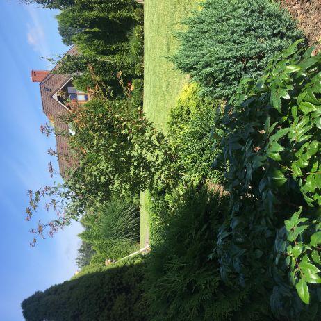 zacieniona rabata pod domem 