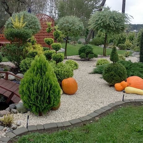 Nasze rodzinne  królestwo .