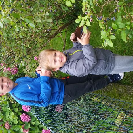 Zbieramy boróweczki