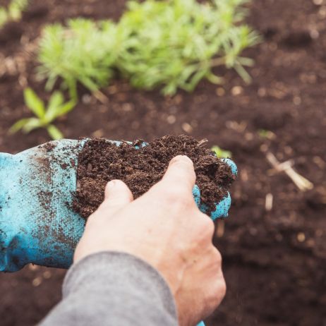 Wyjałowiona gleba to problem, którego nie należy lekceważyć. Stosując substrat, wzbogacimy ją o potrzebne roślinom składniki odżywcze. (zdj.: Adobe Stock)