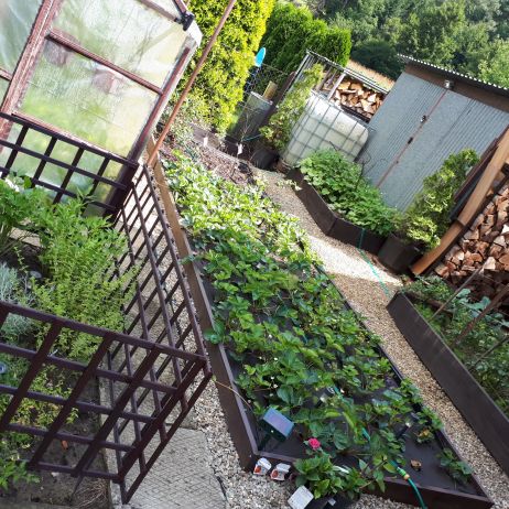 Mój piękny świat warzyw i owoców 