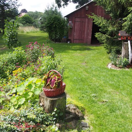 Taki widok rozpościera się z werandy domu Dziadków. W ogrodzie nie brakuje szopy na narzędzia i drewno.