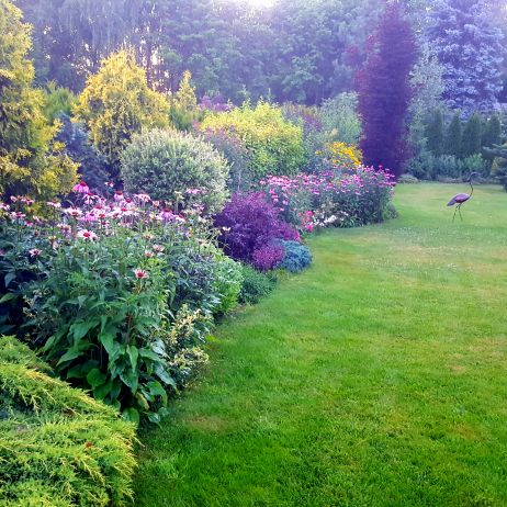 Miedziana rzeźba żurawia przechadzającego się po trawniku. Z daleka wygląda jak żywy. 