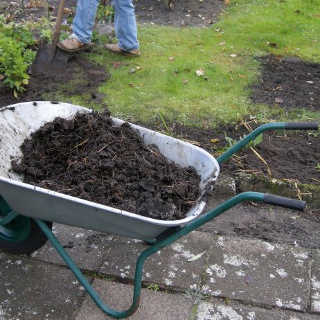 Przekopanie gleby i wymieszanie jej z kompostem lub świeżym podłożem jest kluczowe dla poprawy jej jakości. (zdj.: Adobe Stock)
