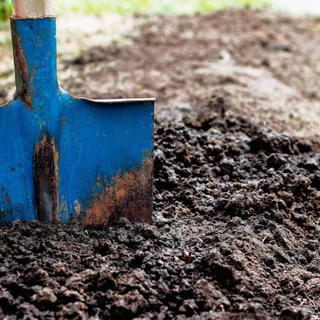 Przekopując glebę pod rabatę nie musimy być delikatni. Wbijając szpadel nawet na głębokość 30 centymetrów mamy gwarancję, że odpowiednio mocno wymieszamy glebę. (zdj.: Adobe Stock)