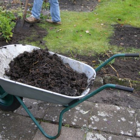 przekopanie-gleby-i-wymieszanie-jej-z-kompostem-lub-swiezym-podlozem-jest-kluczowe-dla-poprawy-jej-jakosci-zdj-adobe-stock.jpeg