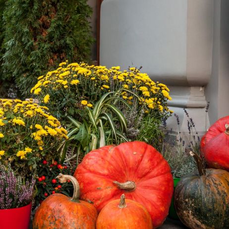 jesienne dekoracje na tarasie