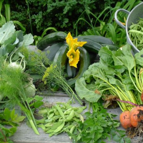 wiele-najsmaczniejszych-i-najzdrowszych-warzyw-zbieramy-wlasnie-na-przelomie-lata-i-jesieni-zdj-adobe-stock.jpeg