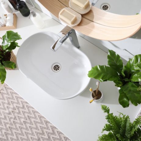 Roślinny pochłaniające wilgoć