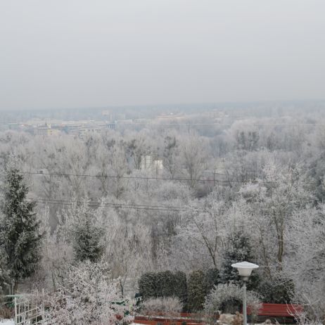 ogród