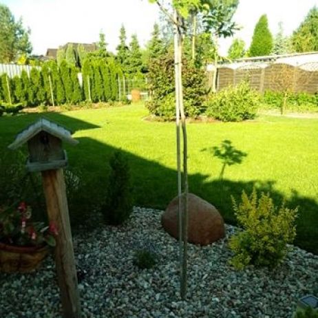 "Ogrodnik doskonały 2019"